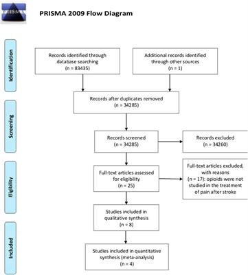 Opioids in Post-stroke Pain: A Systematic Review and Meta-Analysis